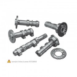 Arbre à cames échappement + admission HOT CAMS SUZUKI RM-Z 450