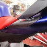 Sliders de coque arrière R&G RACING carbone APRILIA 660 TUONO RS 660 2020-2024 2