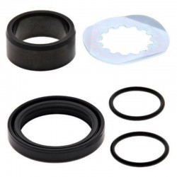 Kit reconditionnement d'arbre de sortie de boîte ALL BALLS FANTIC XX 250 YAMAHA YZ 250 YZ 250 X