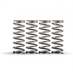 Ressorts d'embrayage haute-température HINSON HONDA CRF 450 R CRF 450 RX CR 500 R