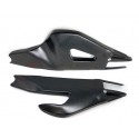 Protection de bras oscillant LIGHTECH carbone brillant APRILIA RSV4 1100 TUONO 1100 V4 2021-2024