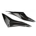 Panneaux sous réservoir LIGHTECH carbone brillant APRILIA RSV4 1100 TUONO 1100 V4 2021-2024