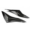 Panneaux sous réservoir LIGHTECH carbone brillant APRILIA RSV4 1100 TUONO 1100 V4 2021-2024 0