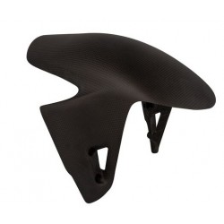 Garde-boue avant LIGHTECH carbone mat DUCATI PANIGALE V4 STREETFIGHTER V4