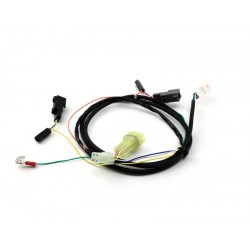 Adaptateur câble DENALI DialDim Plug & Play KAWASAKI KLR 650 2022-2024