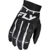 Gants moto FLY RACING Evolution DST 2