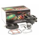 Kit cylindre-piston TOP PERFORMANCE APRILIA GILERA PIAGGIO ITALJET 50 EASY MOVING / ICE / STALKER / STORM