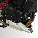 Sabot moteur ERMAX HONDA CB 750 HORNET 2025