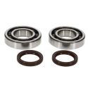 Kit roulements et joints spi de vilebrequin PROX Beta RR Enduro 2T