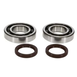 Kit roulements vilebrequins + joints spi HOT RODS YAMAHA YZ250F GAS GAS EC250F FANTIC TF250ES