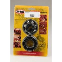 Kit roulements vilebrequins + joints spi HOT RODS HONDA CRF 450 R