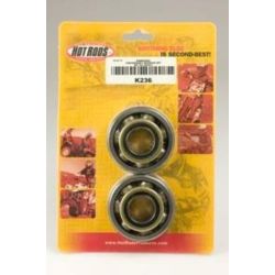Kit roulements et joints spi de vilebrequin KAWASAKI KX 125