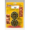 Kit roulements et joints spi de vilebrequin HOT RODS KAWASAKI KDX 200 KDX 220 R 0