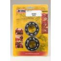 Kit roulements et joints spi de vilebrequin HOT RODS KAWASAKI KX 250 KX 250 F