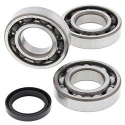 Kit roulements et joints spi de vilebrequin ALL BALLS POLARIS HAWKEYE SCRAMBLER SPORTSMAN