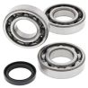 Kit roulements et joints spi de vilebrequin ALL BALLS POLARIS HAWKEYE SCRAMBLER SPORTSMAN 0