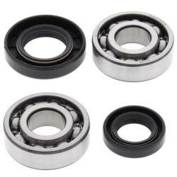 Kit roulements et joints spi de vilebrequin ALL BALLS SUZUKI LT 50 QUADRUNNER