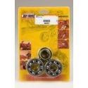 Kit roulements et joints spi de vilebrequin HOT RODS SUZUKI RM 80 RM 85