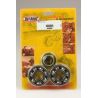 Kit roulements et joints spi de vilebrequin HOT RODS SUZUKI RM 125 0