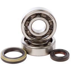 Kit roulements et joints spi de vilebrequin HOT RODS SUZUKI RM 125