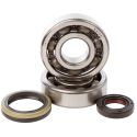 Kit roulements et joints spi de vilebrequin HOT RODS SUZUKI RM 125