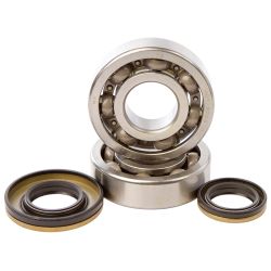 Kit roulements et joints spi de vilebrequin HOT RODS SUZUKI RM 250 2003-2004