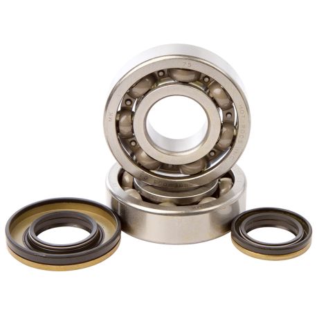 Kit roulements et joints spi de vilebrequin HOT RODS SUZUKI RM 250 2003-2004