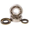 Kit roulements et joints spi de vilebrequin HOT RODS SUZUKI RM 250 2003-2004