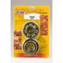 Kit roulements et joints spi de vilebrequin HOT RODS SUZUKI RM 250