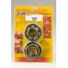 Kit roulements et joints spi de vilebrequin HOT RODS SUZUKI RM 250 0