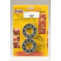 Kit roulements et joints spi de vilebrequin HOT RODS SUZUKI RM-Z 250