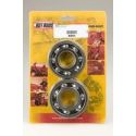 Kit roulement de vilebrequins Hot Rods Quad SUZUKI LT-R 450