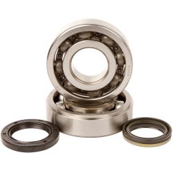 Kit roulements et joints spi de vilebrequin HOT RODS SUZUKI RMX 450 RM-Z 450