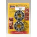 Kit roulements de vilebrequin Hot Rods Yamaha YFM 350 RAPTOR YFM 350 WARRIOR
