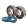 Kit roulements et joints spi de vilebrequin TOP PERFORMANCES moteur Piaggio Euro 3 0