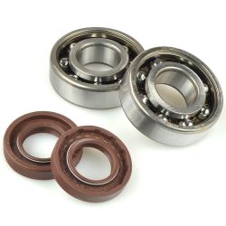 Kit roulements et spis vilebrequins DERBI SENDA FENIX LOBITO GPR50 CAGIVA 50 MITO GILERA RCR50 SMT50