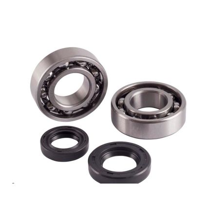 Kit roulements et joints spi de vilebrequin JASIL HONDA MTX 50 NSR 50 Kit roulements et joints spi de vilebrequin JASIL HONDA MTX 50 NSR 50