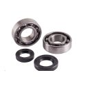 Kit roulements et joints spi de vilebrequin TOP PERFORMANCES SUZUKI AN 250 BURGMAN AN 400 BURGMAN