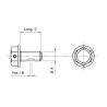 bouchons de vidange aimantés moto M10x1,5x14 1