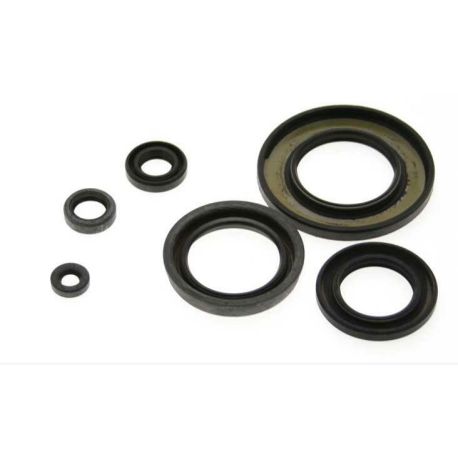 Jeu de joints spi CENTAURO APRILIA MOTEUR ROTAX 122 1988 - 2007
