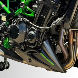 Sabot moteur ERMAX KAWASAKI Z900 2025