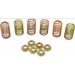 KIT RESSORTS D'EMBRAYAGE pour DUCATI