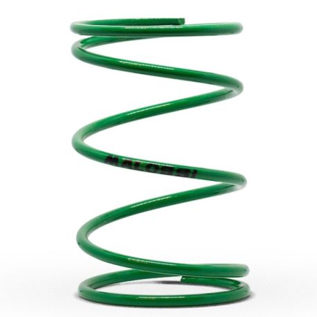 Ressort de poussée super-renforcé MALOSSI moteur Piaggio 50cc