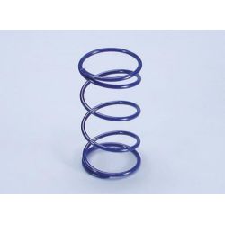 Ressorts de poussée POLINI BENELI ITALJET MALAGUTI MBK YAMAHA