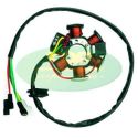 Stator TOP PERFORMANCES APRILIA MX50 RX50 GILERA RCR50 SMT50 DERBI SENDA 85w