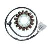 Stator ELECTROSPORT BMW S1000R S1000RR S 1000 RR HP4 0
