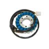 Stator ELECTROSPORT Honda CBR900RR SC28 SC29 1993-1995 0