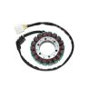 Stator TECNIUM Honda CBR 900 RR fireblade SC44 2000-2001 0