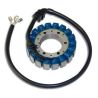 Stator ELECTROSPORT Honda CBR900RR SC44 2000-2001 0