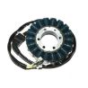 Stator ELECTROSPORT Honda CBR900RR CBR954RR SC50 2002-2003 0